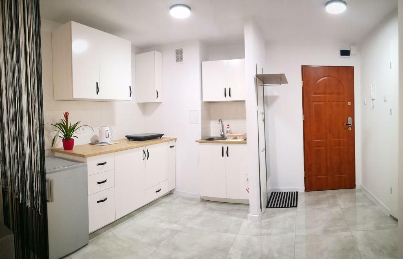 Apartament Alfa Appartement Stary Toruń Buitenkant foto